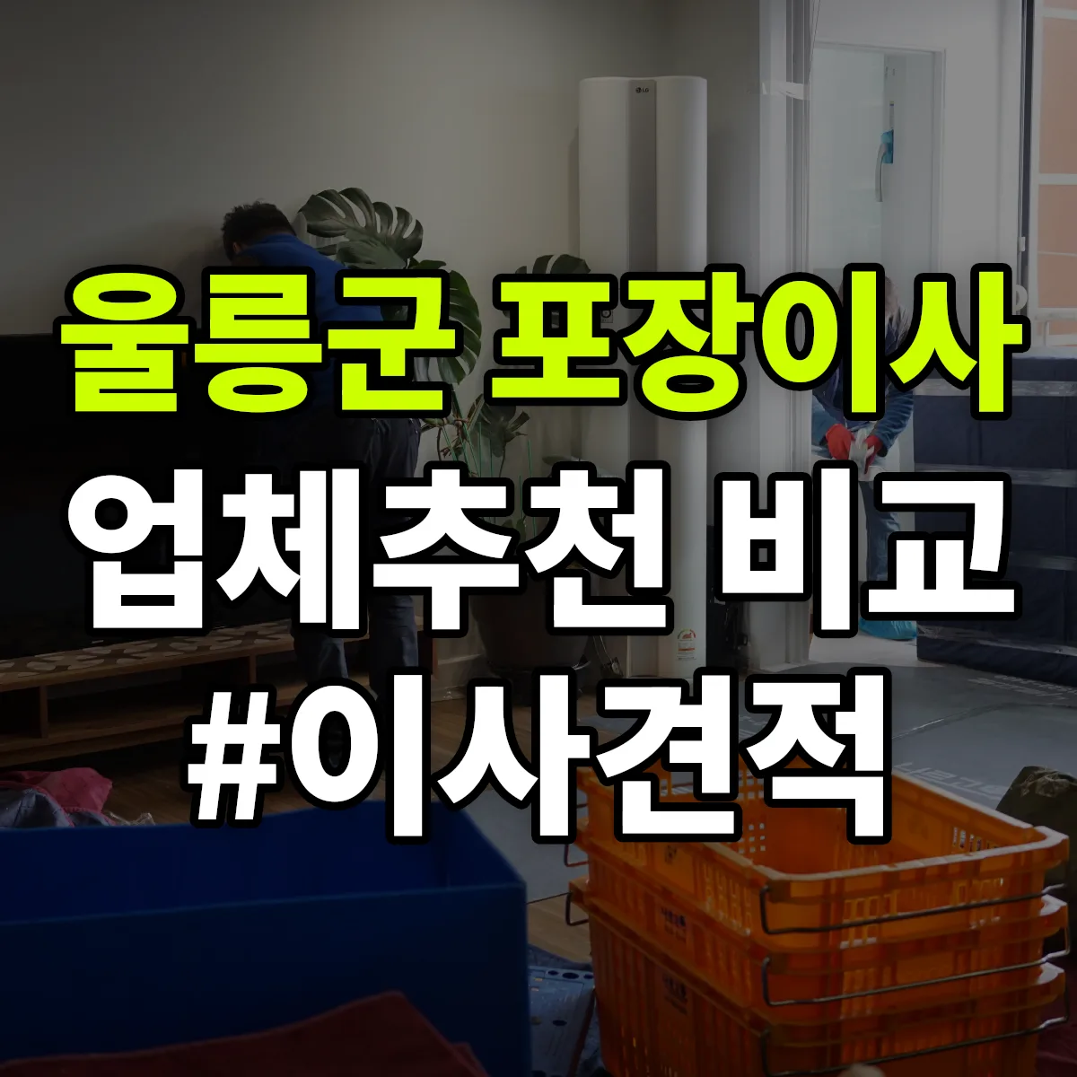 울릉군 포장이사업체 추천 비교