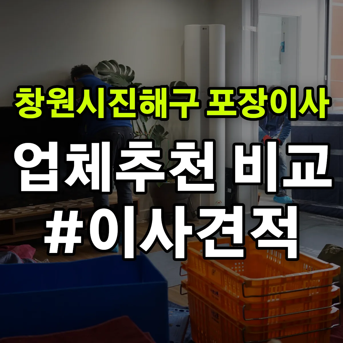 창원시진해구 포장이사업체 추천 비교